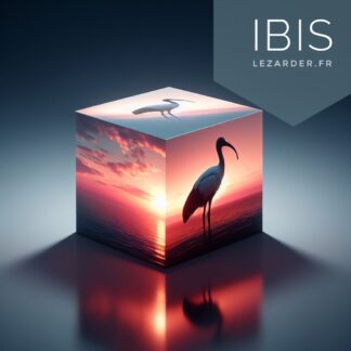 Ibis