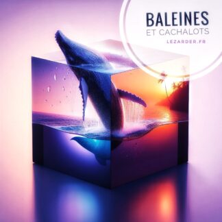 Baleines et cachalots